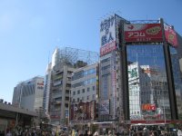 IMG_3388.JPG